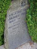 image of grave number 245960